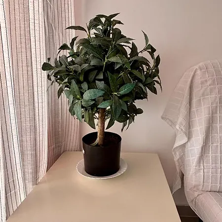 Apartment La Colina